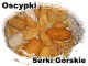 Zobacz ogłoszenie